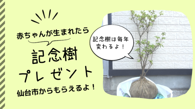 仙台市 赤ちゃんが生まれたら記念樹プレゼントに応募しよう わくわく子育て体験記