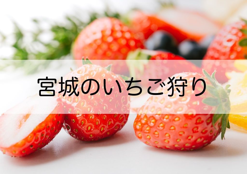亘理 仙台のいちご狩り 山元いちご農園 イチゴワールド 一苺一笑の3つの農園の料金や設備などを徹底比較 わくわく子育て体験記